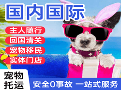 静巴音布鲁克机场货运国际宠物托运 【国